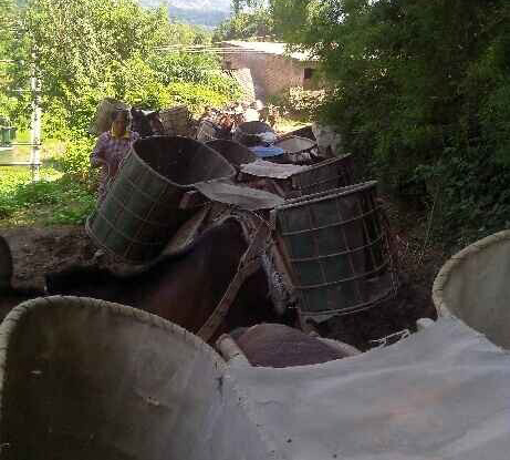 騾馬運(yùn)輸隊