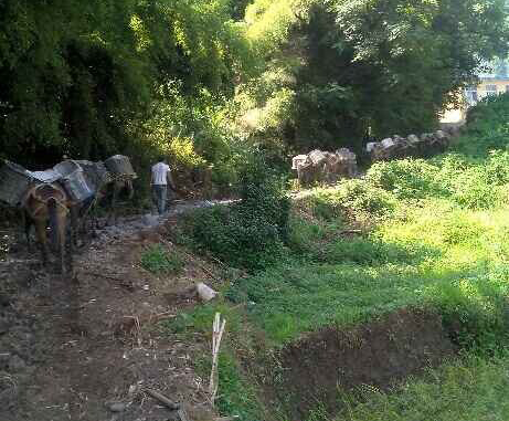 馬幫運(yùn)輸隊(duì)