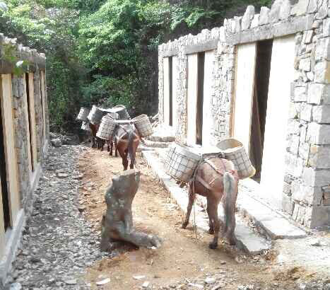 馬隊(duì)運(yùn)輸隊(duì)