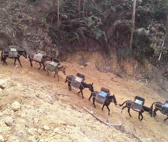 山路馬幫運(yùn)輸